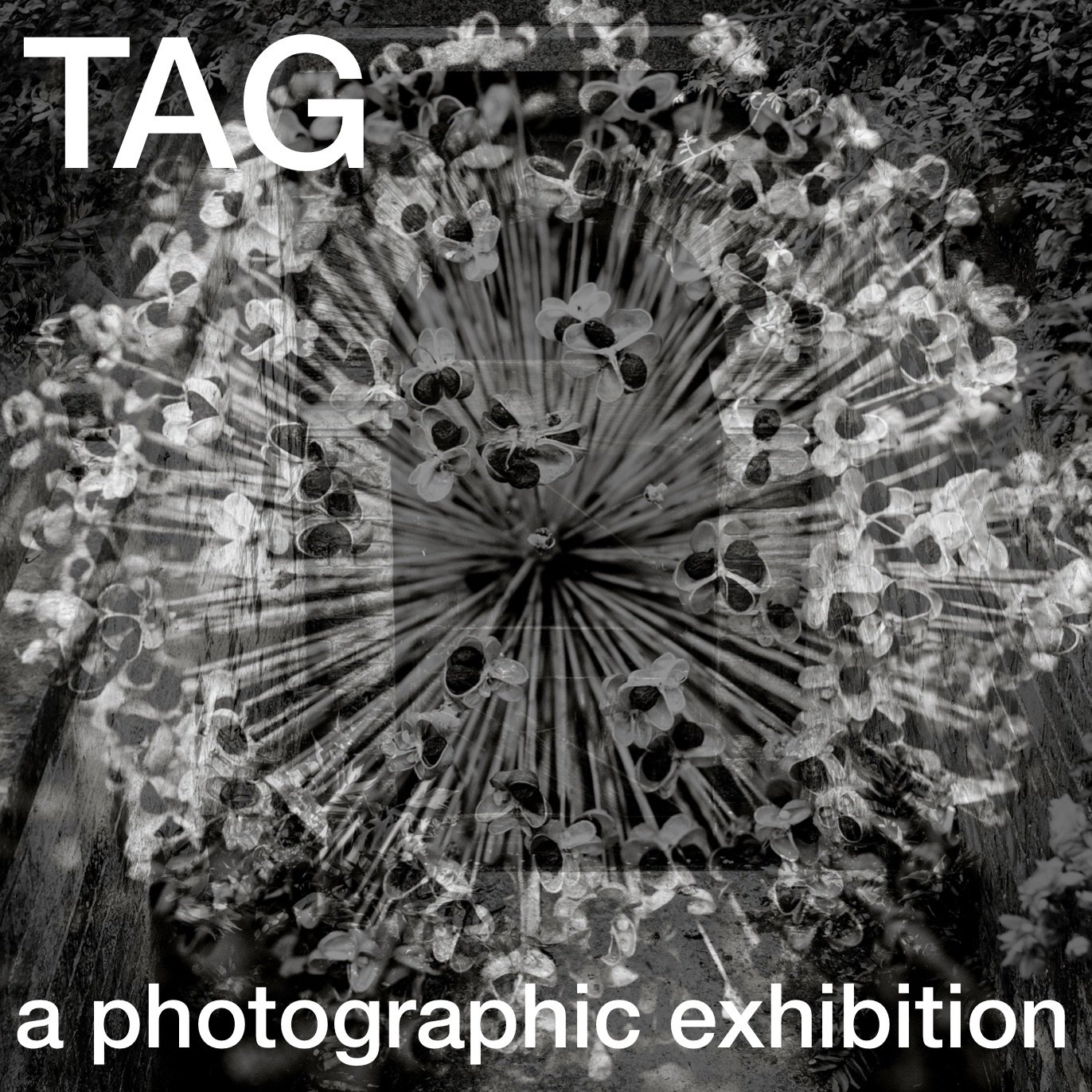 Tagimage