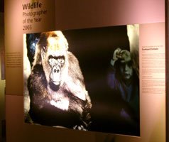 wildlife1.jpg
