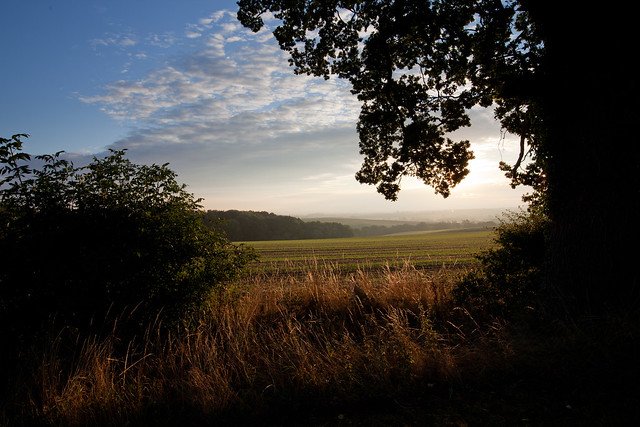 cuddesdon