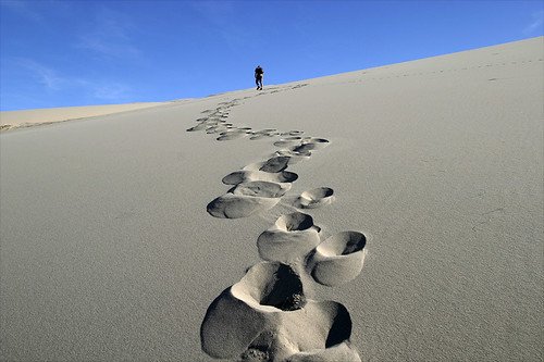 desert journey