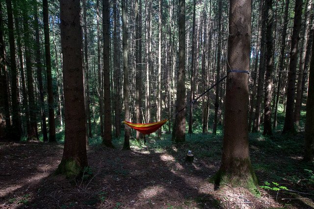 solitude