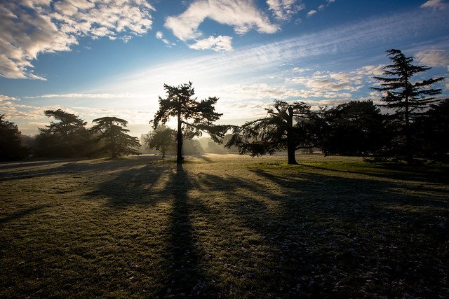 morning frost at gunnersbury park