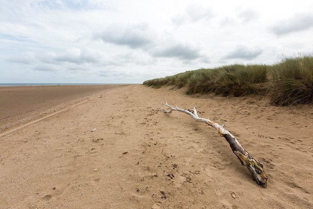 holkham beach