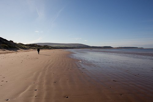 the walker