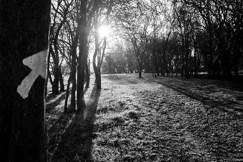 this way to the sun
