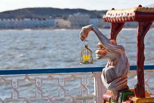 llandudno monkey
