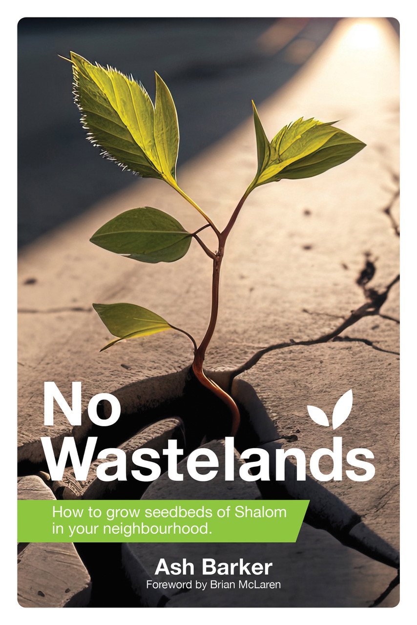 no wastelands cover