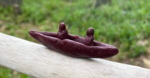 Read more about the article canoeing the river spey