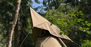 Read more about the article tipi raising 2