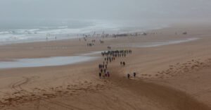 Read more about the article croyde triathlon