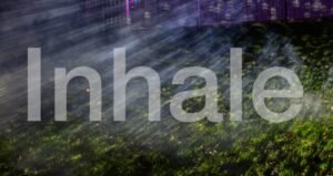 Read more about the article inhale – 2025 horizontal playlist