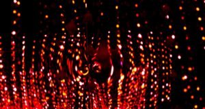 Read more about the article kew night trail