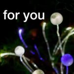 live for you – 2025 playlist