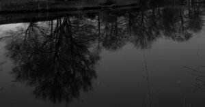 Read more about the article hayes lake