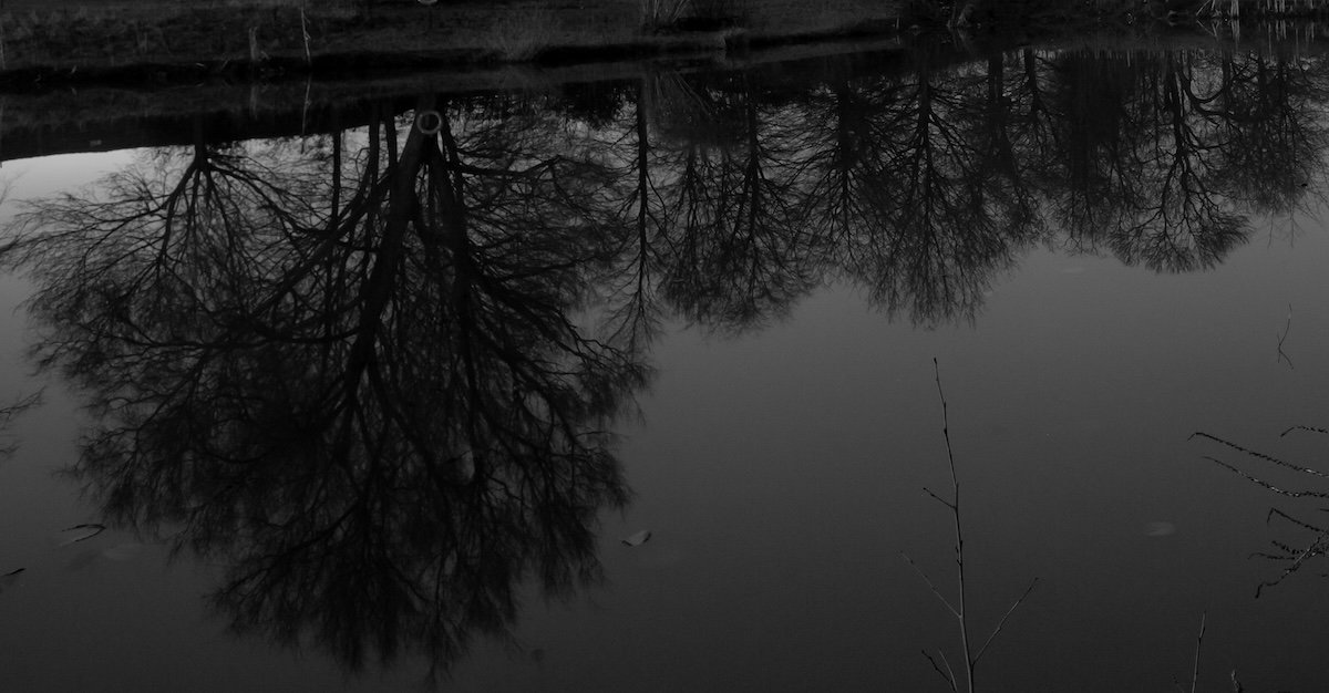 You are currently viewing hayes lake