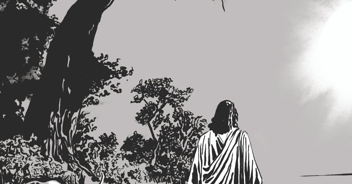 You are currently viewing three fringe dweller ideas for lent…